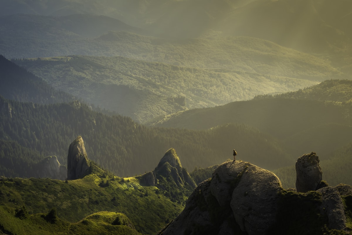 Kashmir Paradise 5D/4N